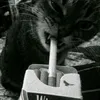 mrowqhaty