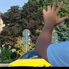 petkoo_fott