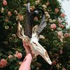 fairytaleforages