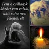 edulajtr