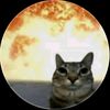 user66553019205
