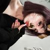 dann_zxxx