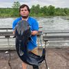 chasebrazell20