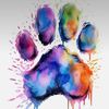 parti_pawz.llc