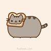 mariluvscats103