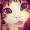 iw_awet