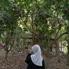 lluv.anisa