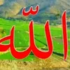 mmuhammad586