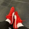 rosmery_640