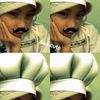 dianwibowo21