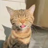 yelowmeh