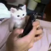 jaybautista730