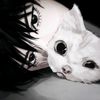 prostoi_user2