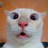 user3561966841791