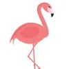 pink_flamingo2805