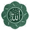 aliali147521