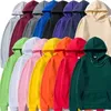 promo Hoodie premium