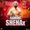 sheha_x1