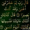 user8508120622549