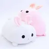 rein_tiff