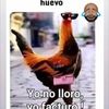 user1519046502105
