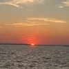il._kohanek_.il