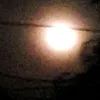 nxxx555888