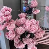 vanillaalessiaa