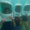 bonobonoyeah10