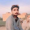 malikashraf4890534