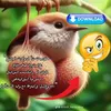mrgoonerson