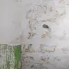 markona_17