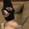 bbigrl00