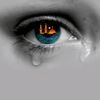 areeshashah234