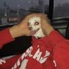 bunnybravado