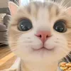 anf_isa5