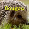stephanecrucheron