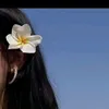 zainab__ali34