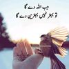 kanwal.pari5