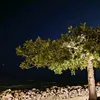 vasiliki_tsprl