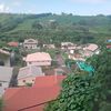 desmonddefreitas