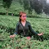 fitria001226