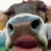 username_11867