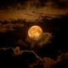 luna10193ek