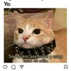 user4678990k