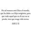 yacarelis17