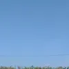 trnkhnh836