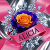 alicia.aa96