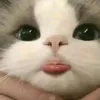 itsmeeraffy