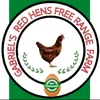 FARM NI GABBY
